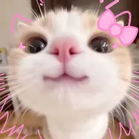 vại tương lơ của Oikawa