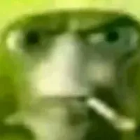 tg