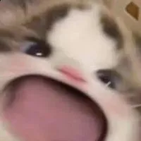 T/g báo