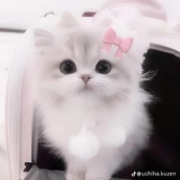t/g cute ,đáng iu😂💕
