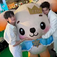 Pikteepor