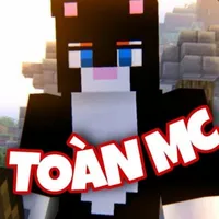 Toàn