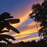 T/g Tui là vô danh