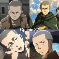 CONNIE SPRINGER