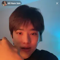 đỗ nam sơn
