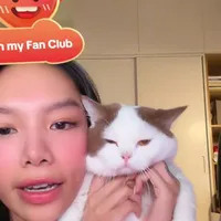 vũ thảo my