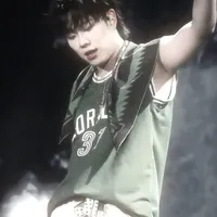 dương domic