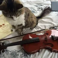 tác giả nổi loạn