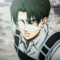 levi(máu set)