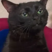 Ma
