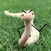 Na Na