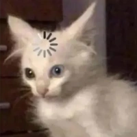 t/g