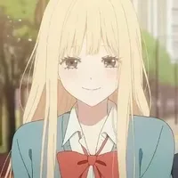 Y/N