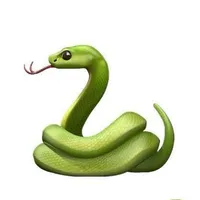 bọn rắn bt ỉa🫙🐿