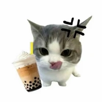mèo lười/ t/g