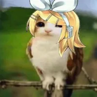 Kagamine Rin🍊🧡(cam)