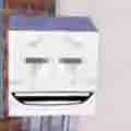 ghast