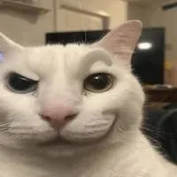 Tina> <[ tác giả]