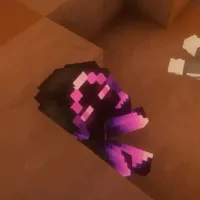 Jaki