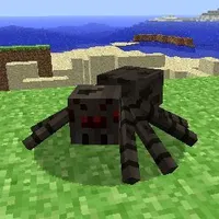 spider
