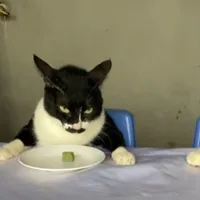 nhóm 3 trùm trường