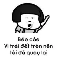 mèo con t/g
