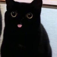 ??? nam