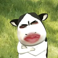 hệ thống