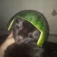 tác giả 🤟🏻