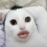 Con t/g báo
