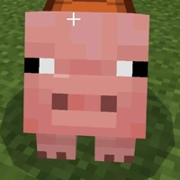 Bi