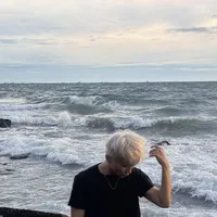 Lê Hồng Sơn. SơnK