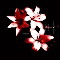 tsubaki.tskuu