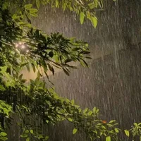 (environment)
