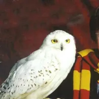 Hedwig
