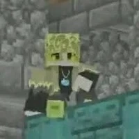 hiha toxic