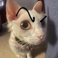 ★t/g★