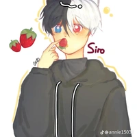 Siro