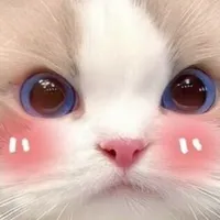 T/G(nghiện phim g@y🥵)