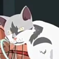 mèo trắng^^