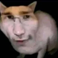 T/g ( nhân cách khác )
