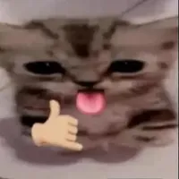 Salina ( chưa vẽ 😡🫩??)