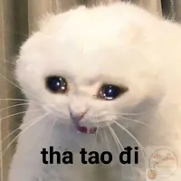 tác giả mệt mỏi