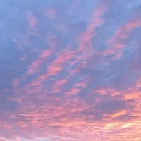 all