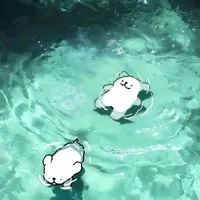 all