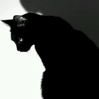 Meow Hairen