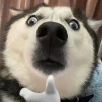 ???