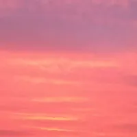 t/g