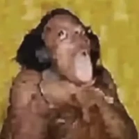 tacgia