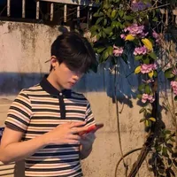 Nguyễn Thanh Pháp - Pháp Kiều